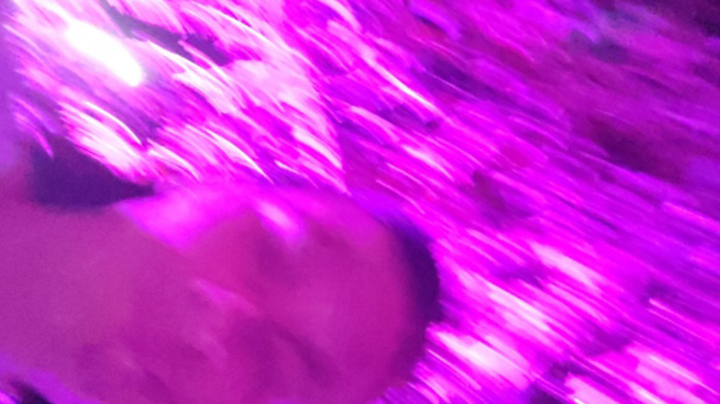 suddigt och skevt porträtt