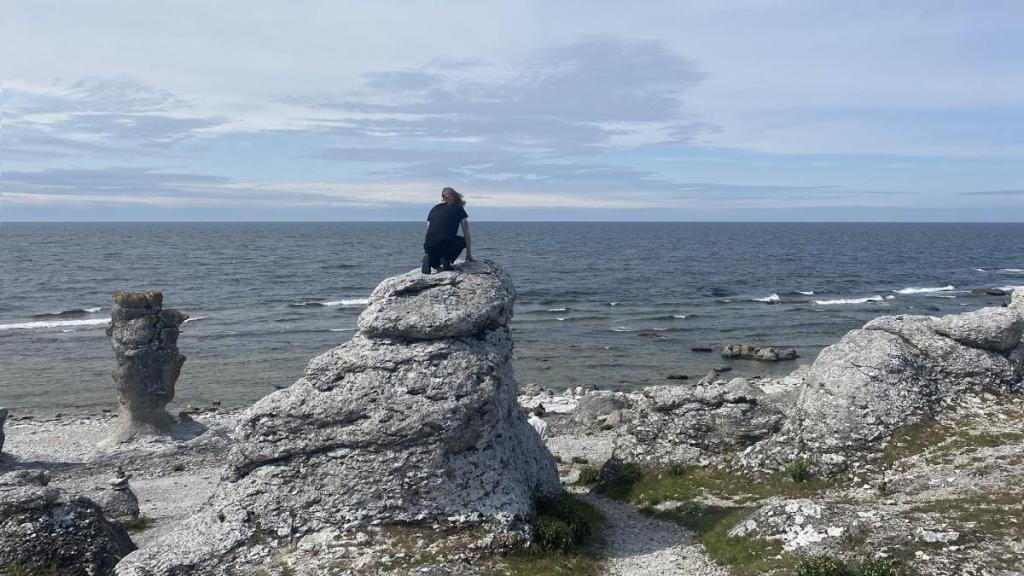 kvinna sitter på toppen av en Rauk och blickar ut mot horisonten