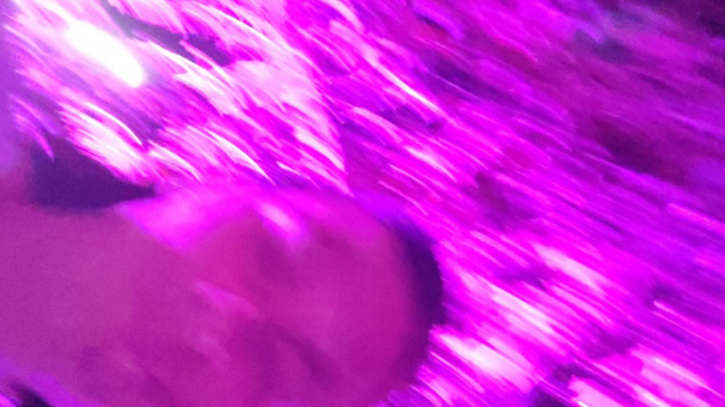 suddigt och skevt porträtt